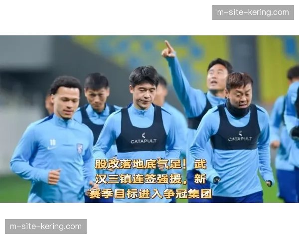 武汉三镇股改后获资金支持 投入3396万元引进菲尔米诺卡迪斯等4外援